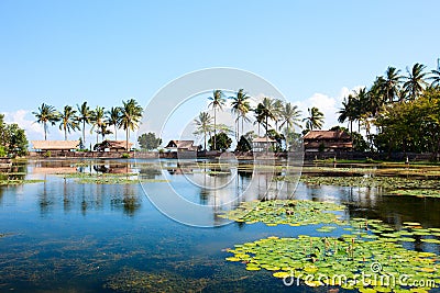 Lotus lagoon in Bali Stock Photo
