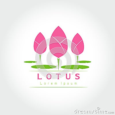 Lotus logo Vector Illustration