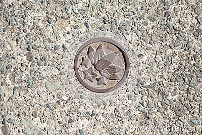 Lotus metal pin on the congrete floor Stock Photo