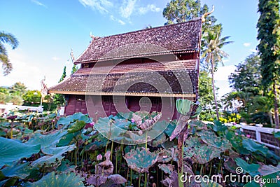 Lotus pods with old church background in the Phuttha Eoen temple Stock Photo