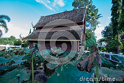 Lotus pods with old church background in the Phuttha Eoen temple Stock Photo