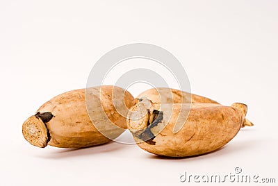 Lotus root Stock Photo