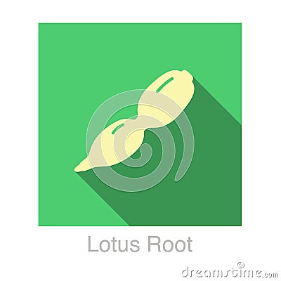 Lotus root food flat icon design vector illustration Vector Illustration