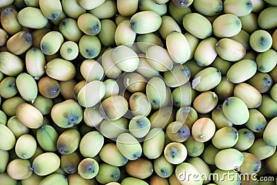 Lotus seed (lian zi) Stock Photo