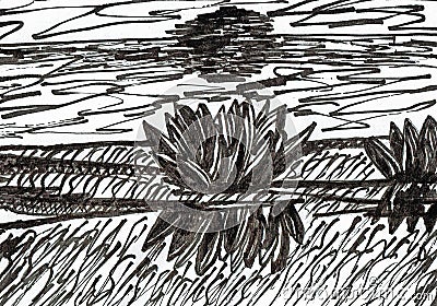 Lotus in a Sunset. Hand drawn ink drawing Stock Photo