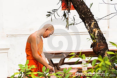 LOUANGPHABANG, LAOS - JANUARY 11, 2017: The monk in the courtyard of the temple prepares food. Copy space for text. Editorial Stock Photo