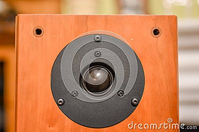 Loudspeaker, tweeter for floor speaker Stock Photo