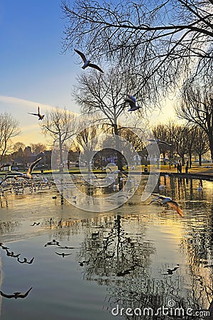 The Lough Stock Photo