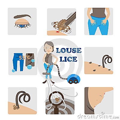 Louse lice Vector Illustration