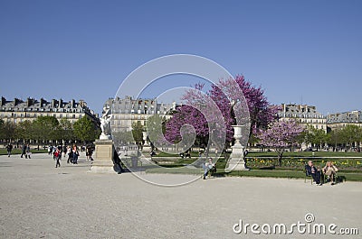 Louvre museum and park des tuileries Editorial Stock Photo