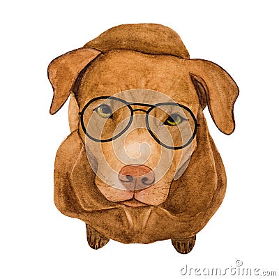 Lovable, pretty beige puppy. Beautiful drawing. Close-up Stock Photo