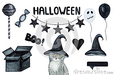 Lovable, pretty pet and halloween decorations. Close-up Stock Photo