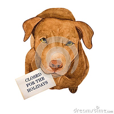 Lovable, pretty puppy of chocolate color. Beautiful drawing Stock Photo