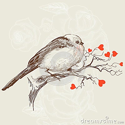 Love bird Vector Illustration