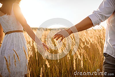 Love couple hold hands in a rye field on sunset Stock Photo