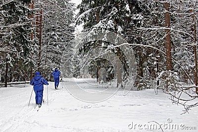 Love couple skiing in forest on a lovely winter day . Stock Photo
