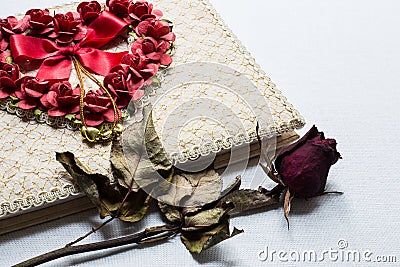 Love diary and Roses wilt on white canvas background Stock Photo