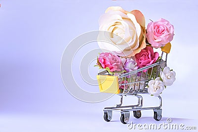 Love and happy Valentines day roses colorful in shopping cart Stock Photo