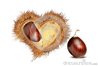 Love hearts valentines red chestnuts nest isolated for Stock Photo