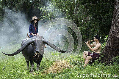 Is love in local Editorial Stock Photo