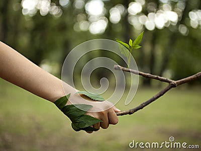 Love The Nature Stock Photo