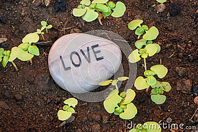 Love for New Life Stock Photo