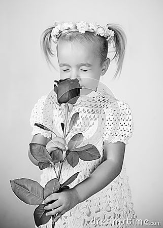 Love present. childrens day. small kid with red rose. happy childhood. valentines day. romantic date. little girl in Stock Photo
