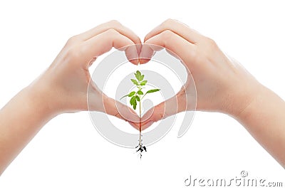 Love and protect nature and life Stock Photo