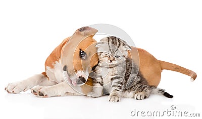 Love puppy and kitten. isolated on white background Stock Photo