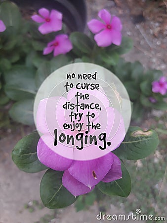Love Quotes: no need to curse the distance, try to enjoy the longing. Stock Photo