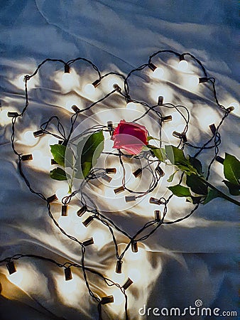 Love rose valantine light night Stock Photo
