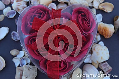 Love shaped red gift box with red decorative artificial rose petals inside. Stock Photo