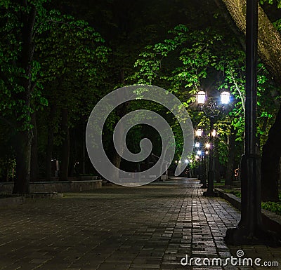 Love story, cozy street light and kiss the night Stock Photo