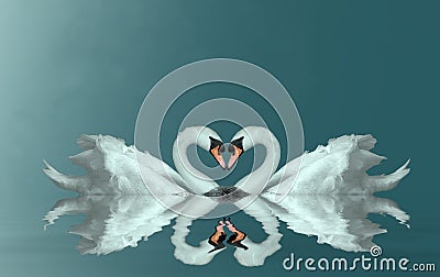 Love swans heart Stock Photo