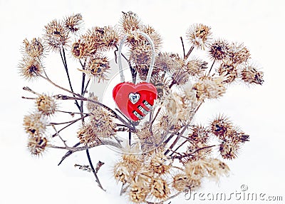 Love through the thorns Stock Photo