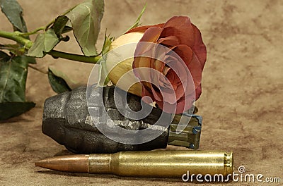 Love and War Stock Photo