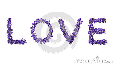 Love word writen with flowers isolated on white background. Violets love text. Valentine`s day greeting card Stock Photo