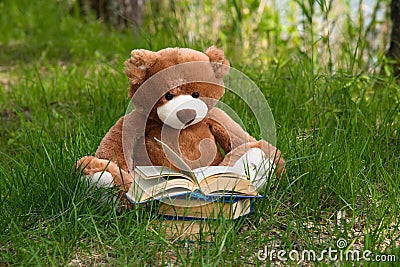 Lovely Brown Teddy bear toy and book sitting on green grass field, education kids concept Stock Photo