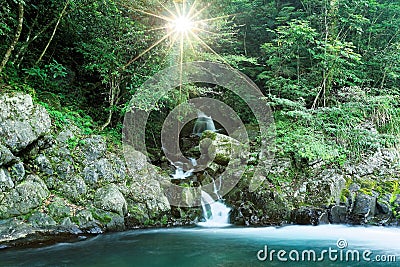 A lovely cascade flowing into a stream in a mysterious forest with sunlight shining through the lush greenery Stock Photo