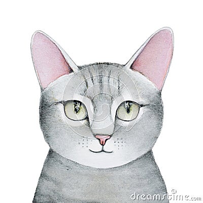 Lovely closeup portrait in pastel colors of young, grey, striped, fluffy tabby cat. Stock Photo