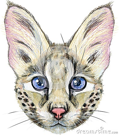 Lovely closeup portrait Savannah cat. Hand drawn water colour painting on white background Cartoon Illustration