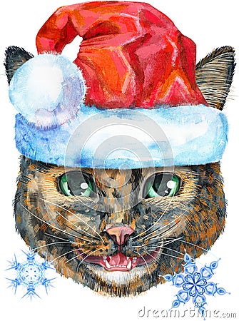 Lovely closeup portrait of Short-haired tortoiseshell cat in Santa hat. Hand drawn water colour painting on white background Cartoon Illustration