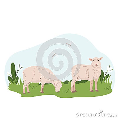 Lovely country rural landscape, Sheep graze, flowers, pasture. Country pet lamb. Isolated character on a white Vector Illustration