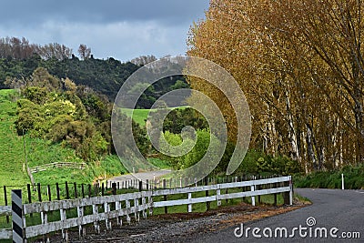 A lovely countryside in New Zealand Stock Photo