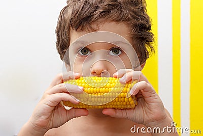 Lovely curly boy eat a cob of boiled corn, GMO free Stock Photo