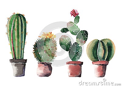 Lovely cute graphic wonderful abstract beautiful bright summer four cactuses in red and brown clay pots with flowers Cartoon Illustration