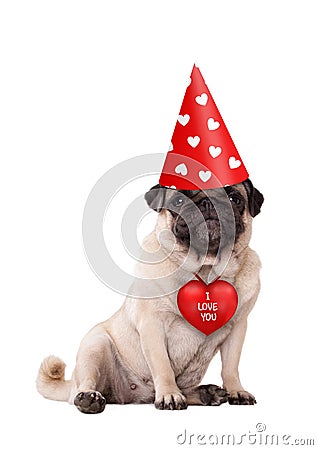 Lovely cute Valentine`s day puppy pug dog sitting down with red I love you heart and party hat with hearts Stock Photo