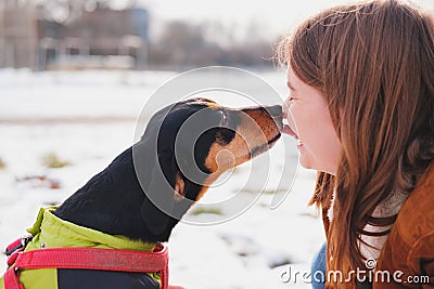 Lovely dachshund kissing her owner at a walk Stock Photo