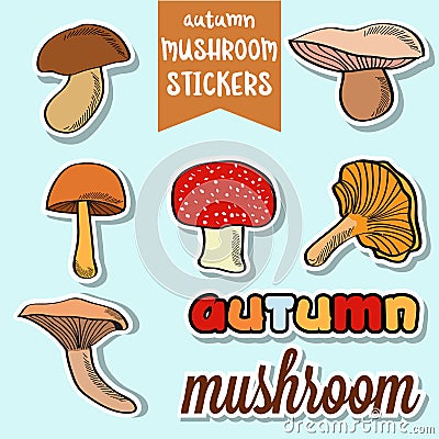 Autumn mushroom stickers Vector Illustration