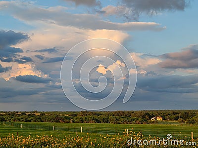 Lovely Farm setting with flowers Stock Photo